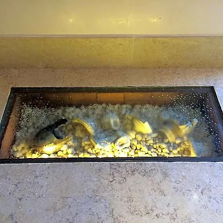 Elide Hotel Roma
